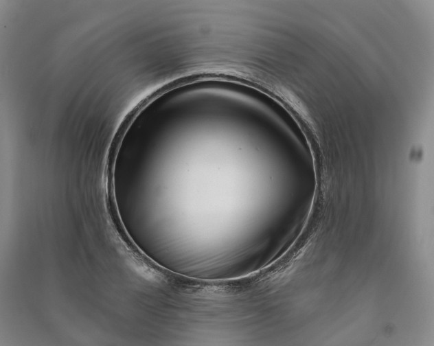 X0000090971028200708161832