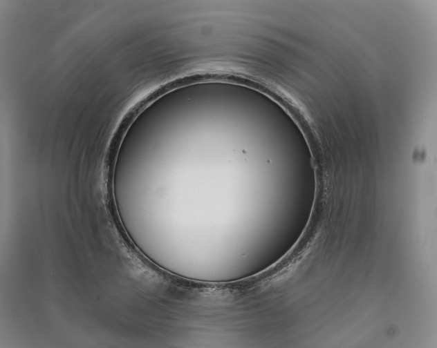 X0000090971029200708161832