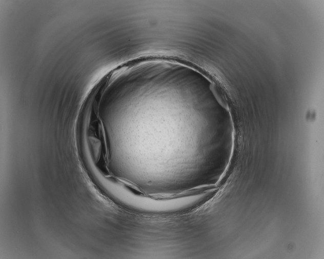 X0000090971030200708161832