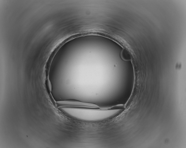 X0000090971031200708161832