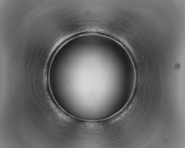 X0000090971032200708161832