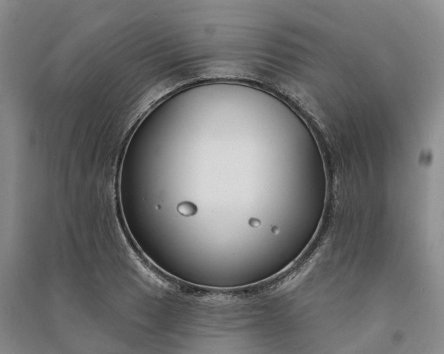 X0000090971033200708161832