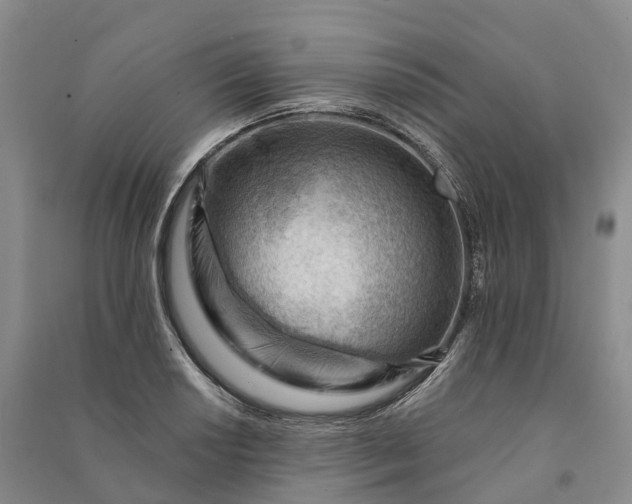 X0000090971034200708161832