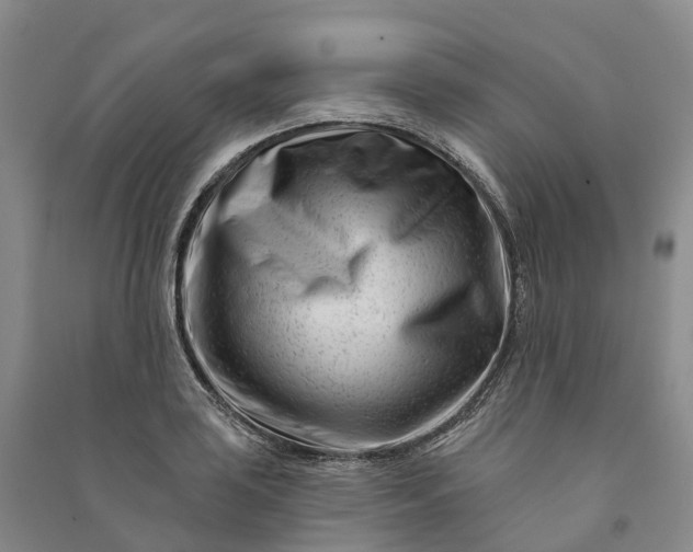 X0000090971035200708161832