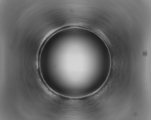 X0000090971036200708161832