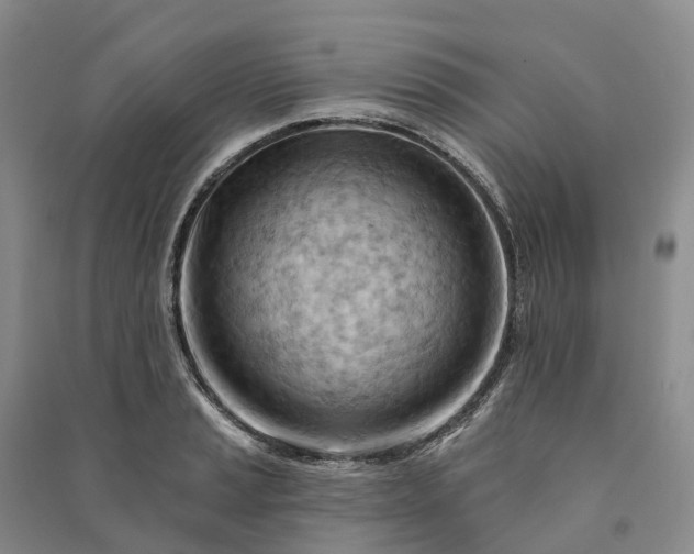 X0000090971037200708161832