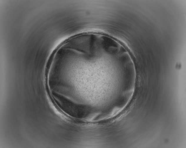 X0000090971038200708161832