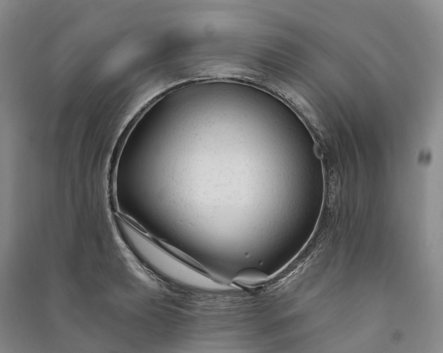 X0000090971039200708161832