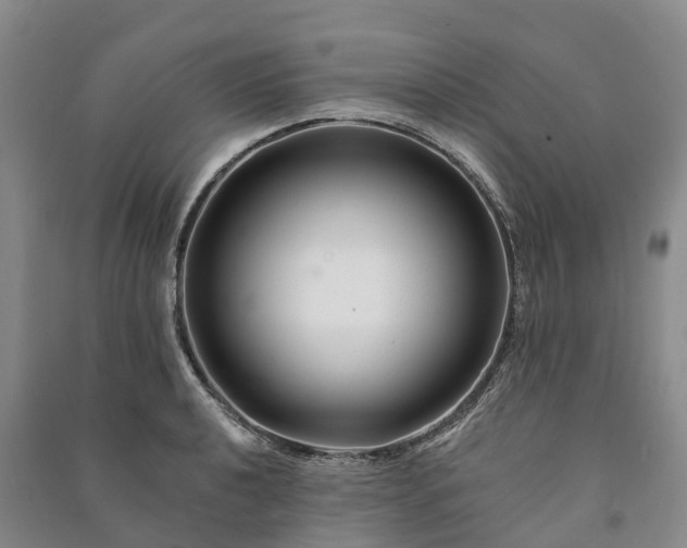 X0000090971040200708161832