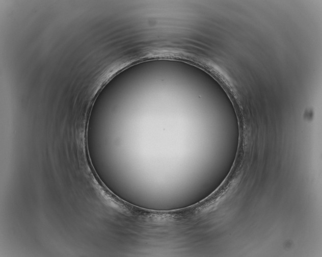 X0000090971041200708161832