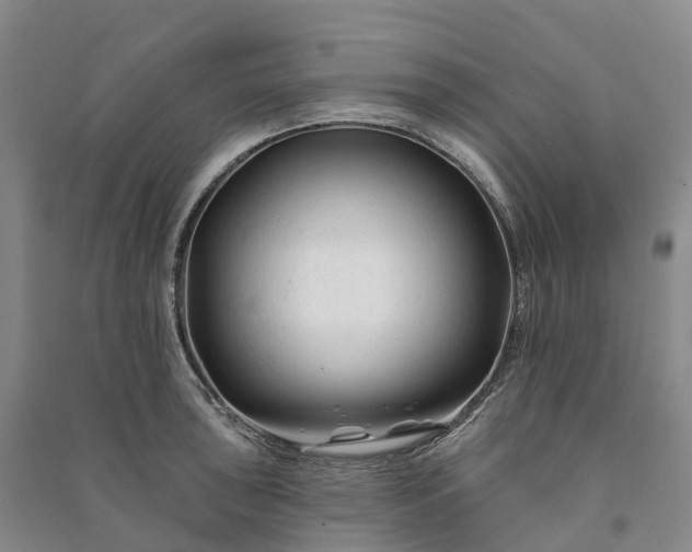 X0000090971043200708161832