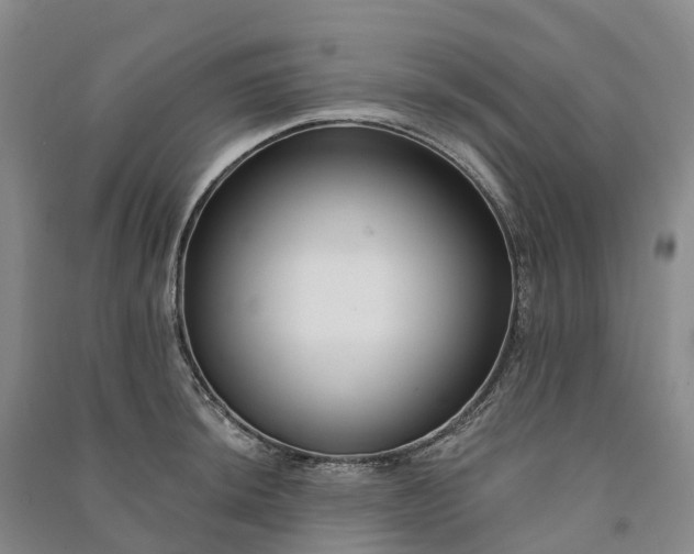 X0000090971044200708161832