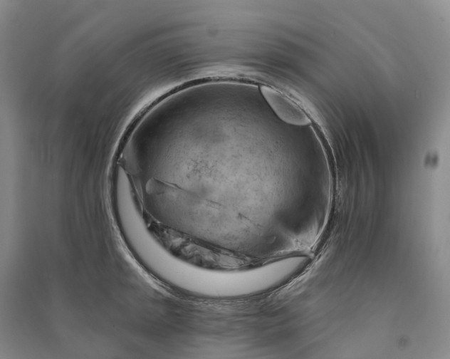 X0000090971045200708161832