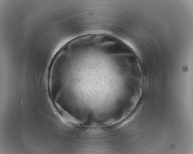 X0000090971046200708161832