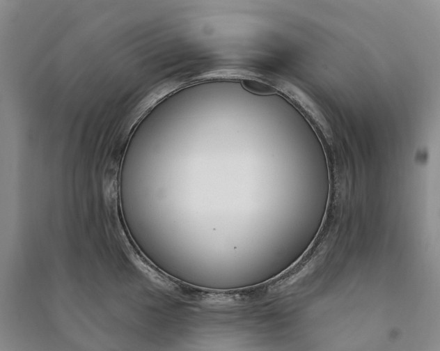 X0000090971049200708161832