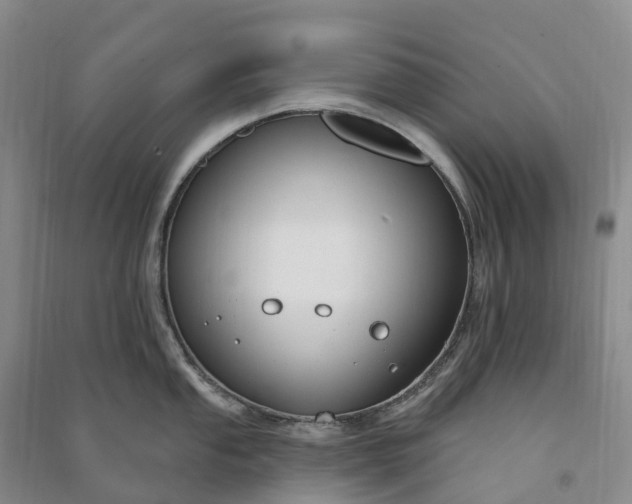 X0000090971053200708161832