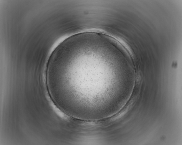 X0000090971054200708161832