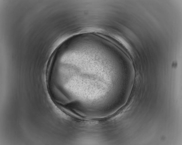 X0000090971055200708161832