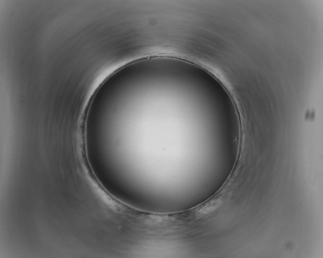 X0000090971056200708161832