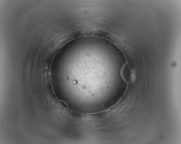 X0000090971059200708161831