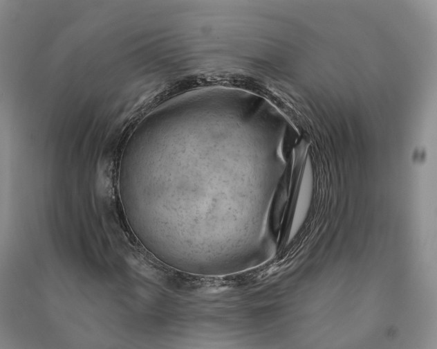 X0000090971060200708161831