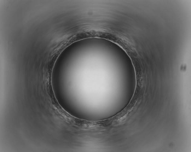 X0000090971061200708161831