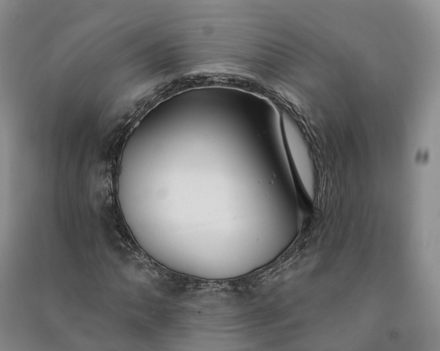 X0000090971062200708161831