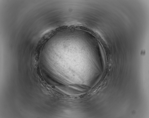 X0000090971063200708161831