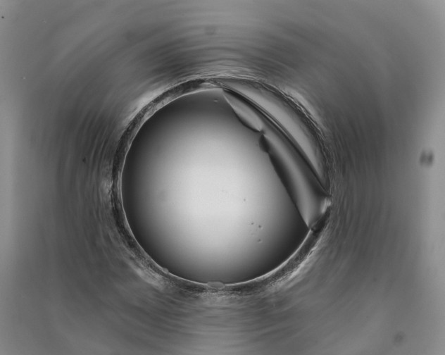 X0000090971065200708161831