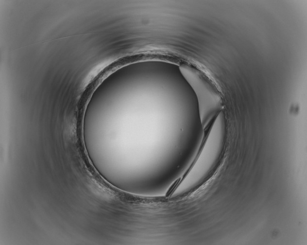 X0000090971066200708161831