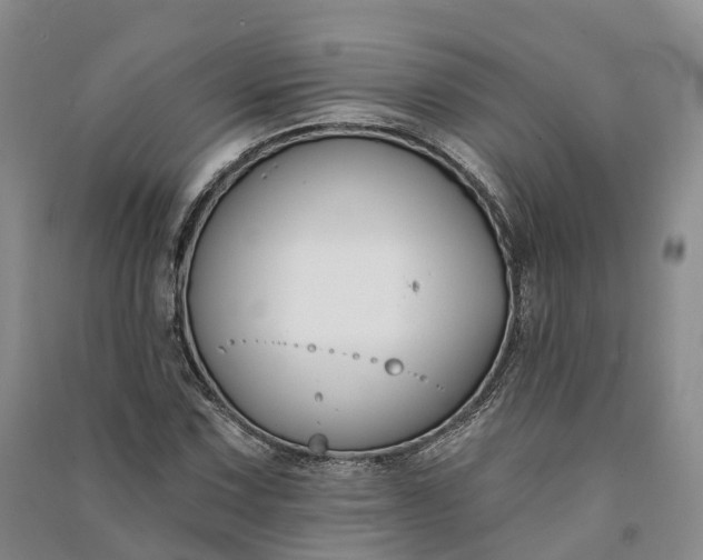 X0000090971067200708161831