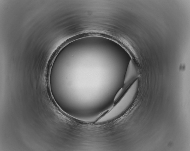 X0000090971068200708161831