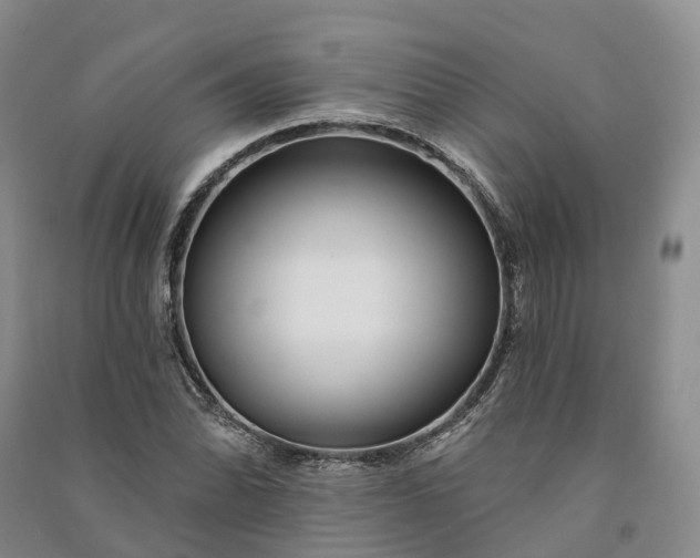 X0000090971070200708161831