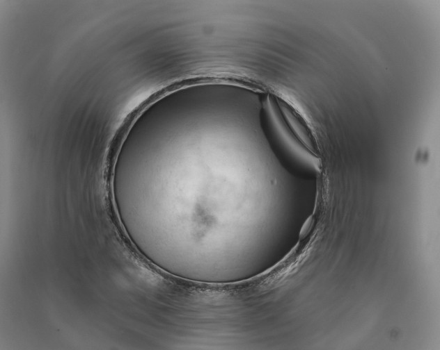 X0000090971071200708161831