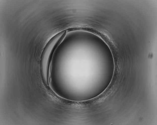 X0000090971073200708161831