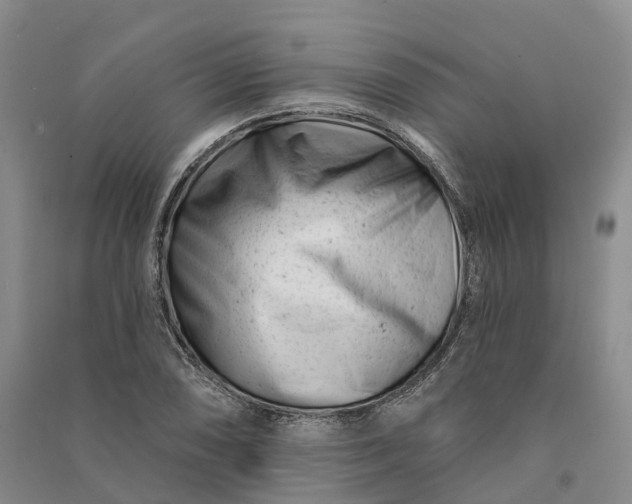 X0000090971074200708161831