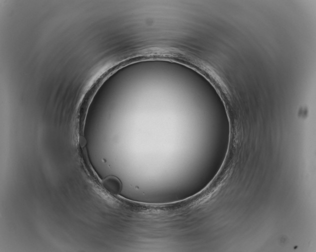 X0000090971075200708161831