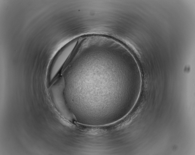 X0000090971077200708161831