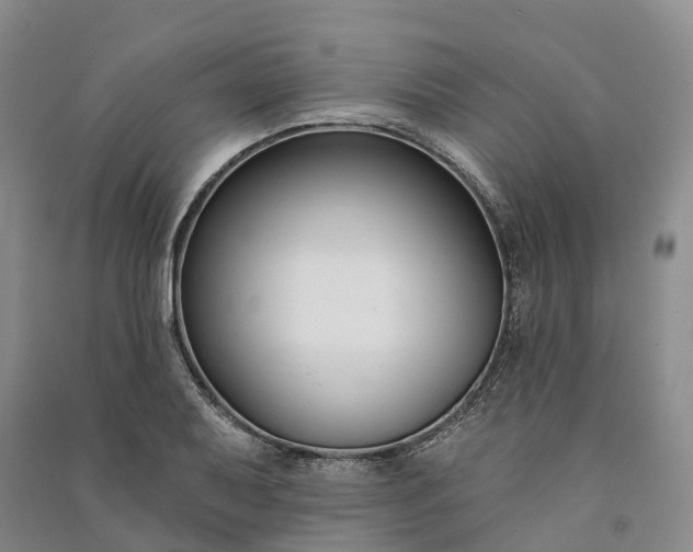 X0000090971079200708161831