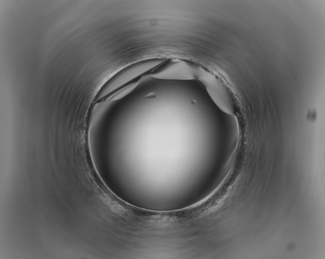 X0000090971081200708161831