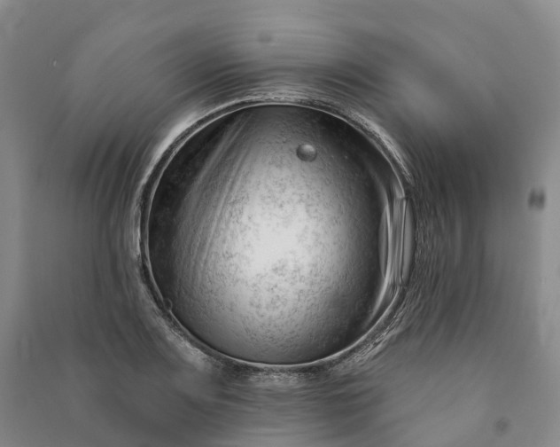 X0000090971083200708161831