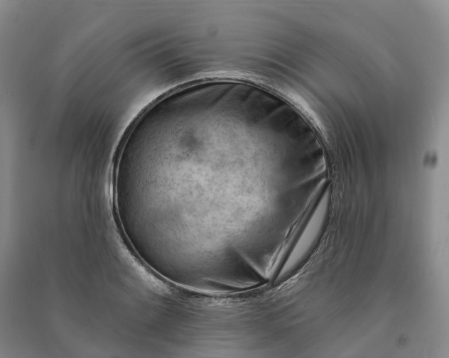 X0000090971084200708161831