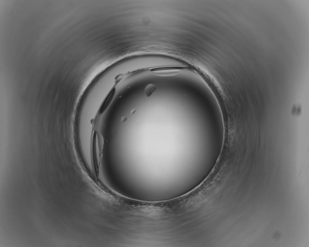 X0000090971085200708161831