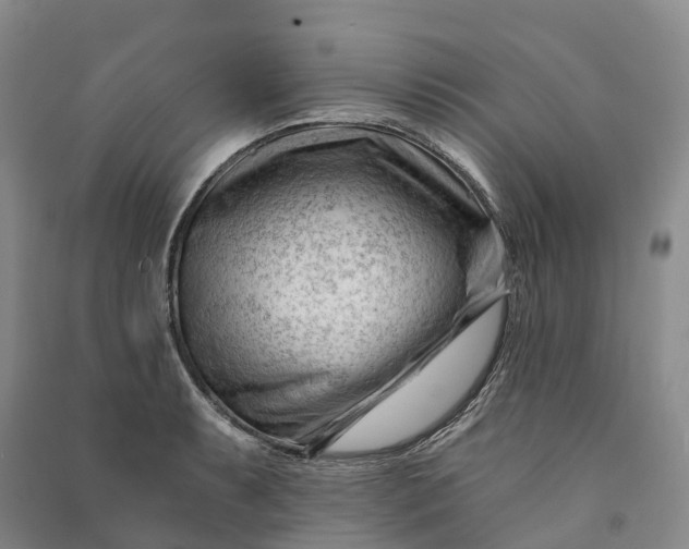 X0000090971087200708161831