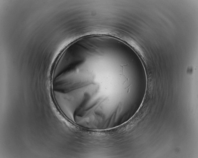 X0000090971088200708161831