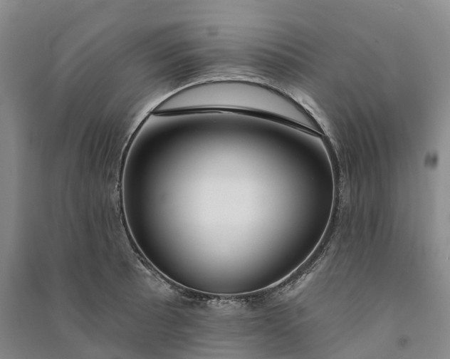 X0000090971089200708161831