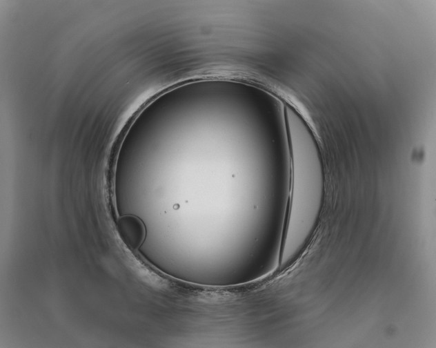 X0000090971091200708161831