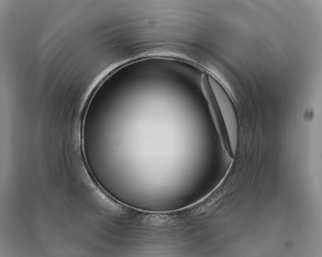 X0000090971092200708161831