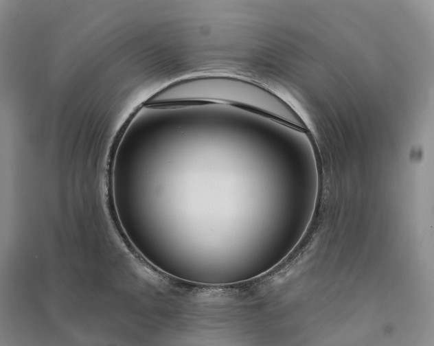 X0000090971093200708161831