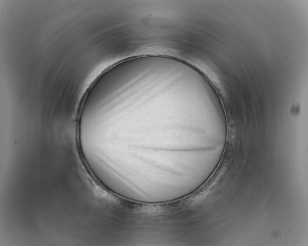 X0000090971094200708161831